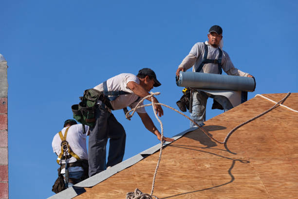 Best Roof Gutter Cleaning  in Bridgetown, OH